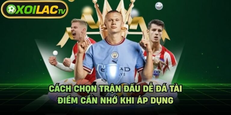 Cách Chọn Trận Đấu Dễ Đá Tài - Điểm Cần Nhớ Khi Áp Dụng