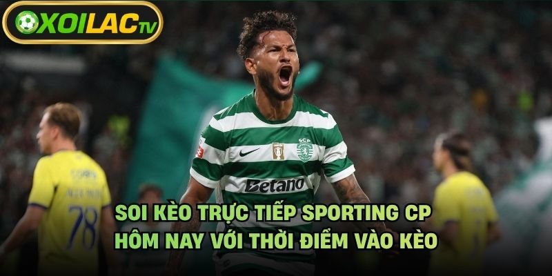 Soi Kèo Trực Tiếp Sporting CP Hôm Nay Với Thời Điểm Vào Kèo