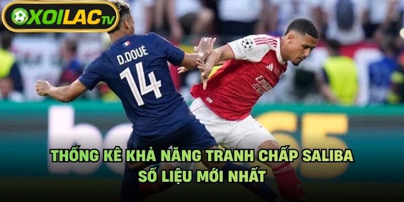 Thống Kê Khả Năng Tranh Chấp Saliba – Số Liệu Mới Nhất
